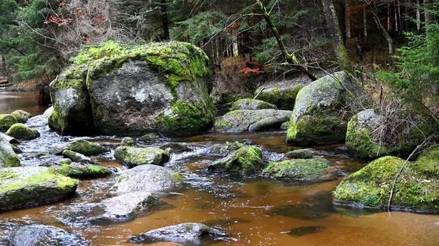 Waldviertel Naturfluss Kleiner Kamp