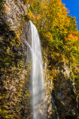 waterfall in autumn forest