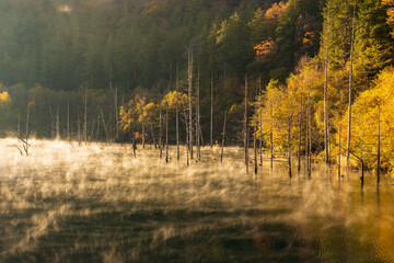 autumn landscape, morning on the lake