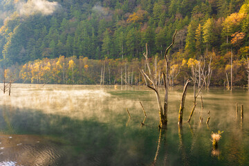 autumn landscape, morning on the lake