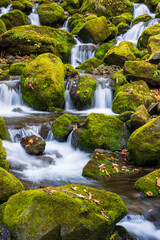 small waterfall in the forest