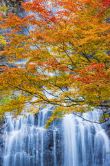 waterfall in autumn forest