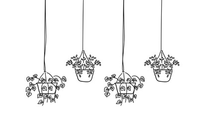 Hand Drawn Plants Vines on Pot Doodle Set Hanging Decoration Element.Vector Illustration