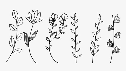 Nature Leaves Flowers Line Art Drawing Collection Simple Botanical Element Set.Vector Illustration, great for stylish wedding and logo design.