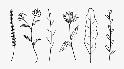 Nature Flowers and Leaves Line Art Drawing Collection Simple Botanical Element Set.Vector Illustration