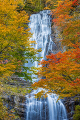 waterfall in autumn forest