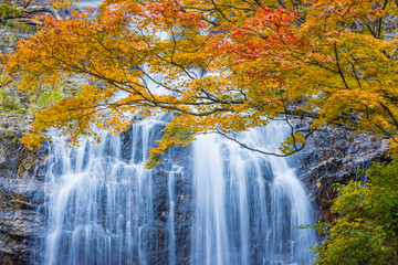 waterfall in autumn forest
