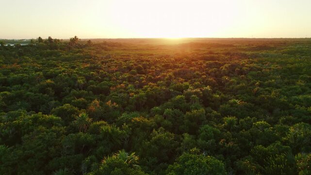 Golden sunset over tropical jungle landscape and coastal area in Yucatan Mexico