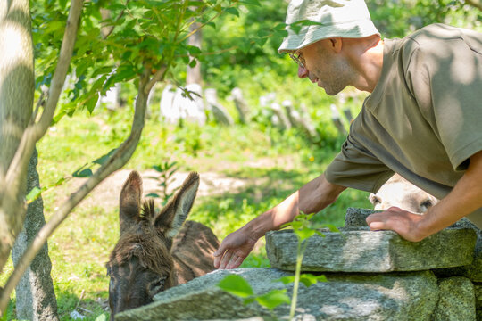 Happy Young farmer feeding donkey with fresh grass, enjoying bond, connection with farm animal, rural harmony moment, Equus africanus asinus