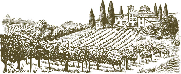 Countryside Landscape Vintage Ink Illustration with Vineyard Fields and Villas on Rolling Hills, Sketch Style, 