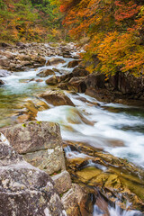 waterfall in autumn forest