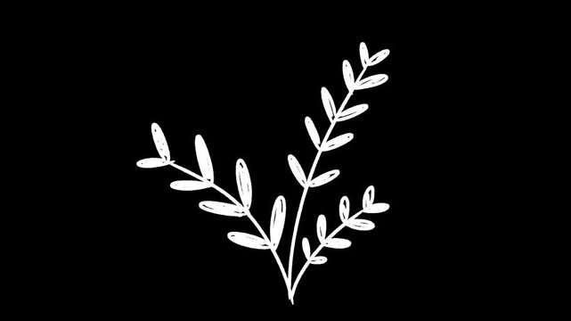 plant hand draw doodle, frame by frame stop motion animation on a white and black background, video decoration, perfect for motion graphics, comics, or energetic.