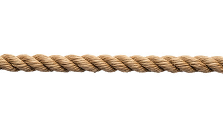 A close-up view of a thick, twisted, natural fiber rope against a plain white background.