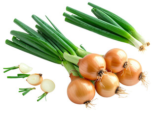 Fresh green onions and golden onions isolated on transparent background
