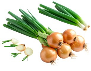 Fresh green onions and golden onions isolated on transparent background
