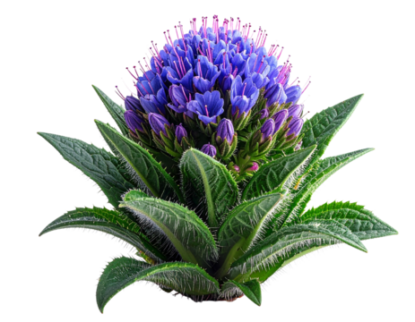 Purple flower with green leaves against transparent background - Powered by Adobe
