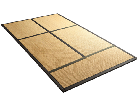 Rectangular mat isolated with segments and transparent background