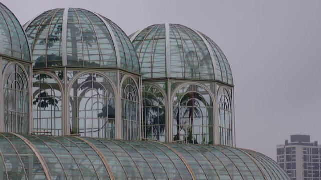 Curitiba Botanical Garden Curitiba Brazil Green Rain View