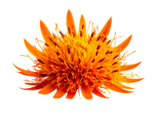 Vibrant orange spiky shape isolated on transparent background decorative element