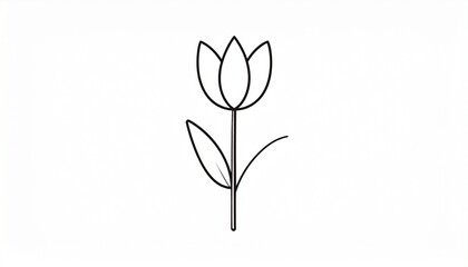 Illustration of Tulip Plant on white 