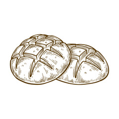 Sourdough bread hand drawn illustration. Sourdough bread vector line art
