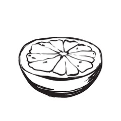 Artistic grapefruit depiction for spa and health product labels