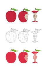 Apples in color and outline variations