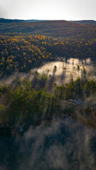 Early fall morning by the lake
