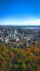Fall colors in Montreal