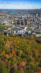 Fall colors in Montreal