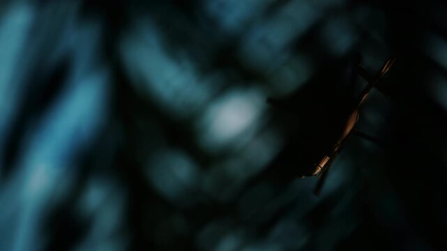 View of a white helicopter flying across a blue sky framed by blurred palm trees