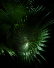 abstract green background