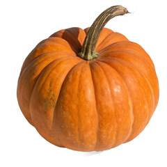 Orange pumpkin isolated on transparent background
