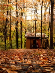house in autumn forest wood cabin mountains