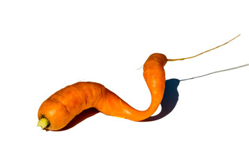 Screw-shaped carrots