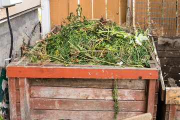 Composting box in city house backyard garden corner in fall season after final harvest