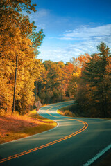 Obraz premium road in autumn