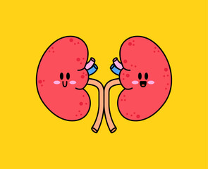 Adorable vector illustration of two smiling kidneys with cute faces and blushing cheeks connected by ureters on a bright yellow background. perfect for healthcare, anatomy, organ