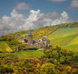 Obraz premium Gorgeous vineyards of the town of Bacharach am Rhein, Rhineland-Palatinate, Germany