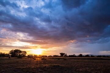 Obraz premium Dramatic Cloudscape and Sunset Over the African Plains