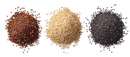 Three piles of quinoa seeds in different colors isolated on transparent background