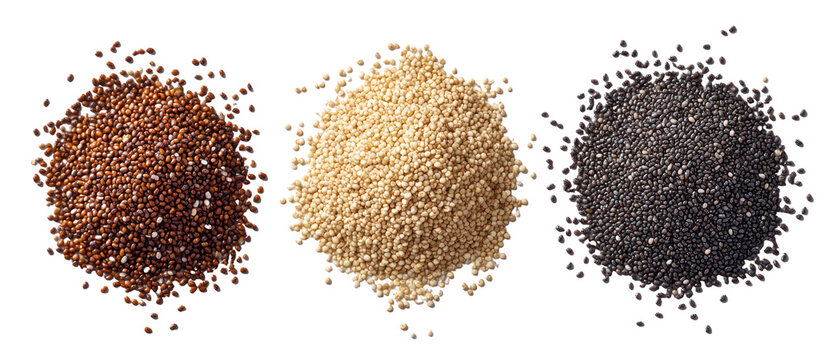 Three piles of quinoa seeds in different colors isolated on transparent background