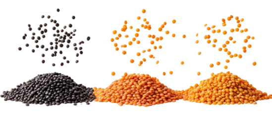 Three piles of lentils and scattered seeds isolated on transparent background