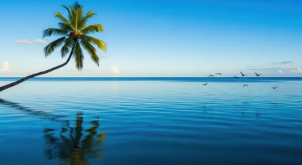 Serene tropical beach paradise with palm tree extending over calm turquoise ocean water under a