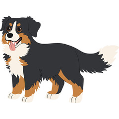 Happy Bernese Mountain Dog Standing Outdoors With Tongue Out And Tail Wagging In A Field Of Green Grass