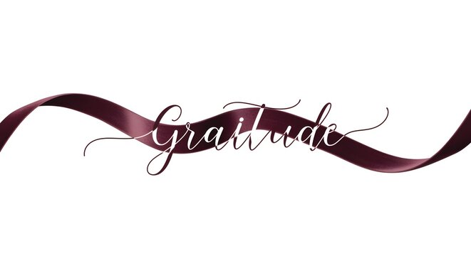 Elegant calligraphy word gratitude with flowing ribbon isolated on white