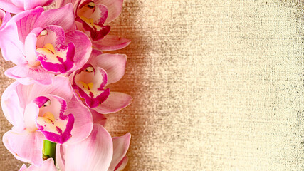 ピンクのシンビジュームの花