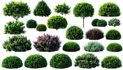 Diverse collection of various shrub shapes and colors on black