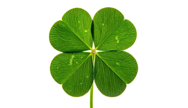 Four-leaf clover, vibrant green, against a black background