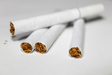 Cigarrillos de tabaco sobre fondo blanco.